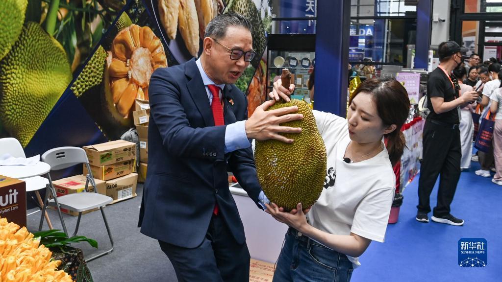 打牌吧官网下载